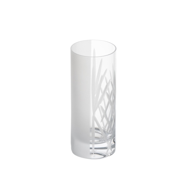 Набор из 6-ти стаканов SchonhuberFranchi, 370 мл, прозрачный/матовый с матовой гравировкой, стекло